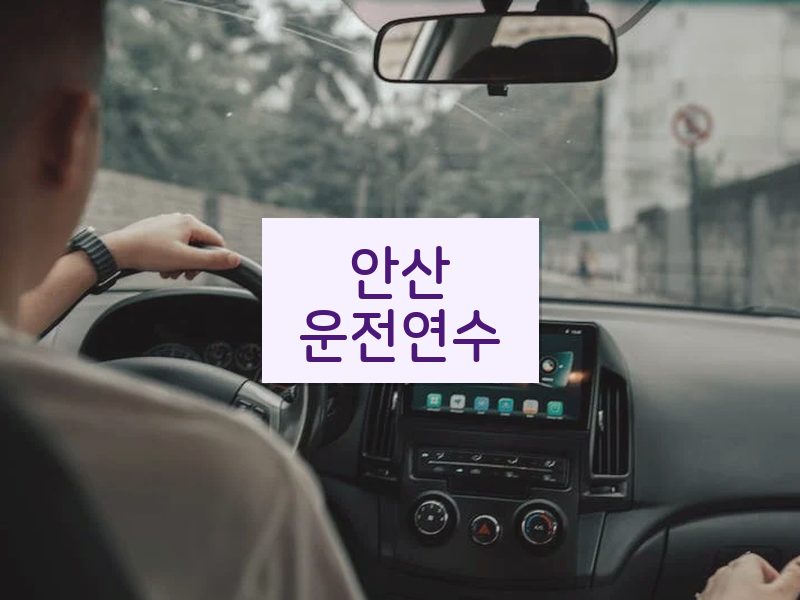 안산운전연수 후기