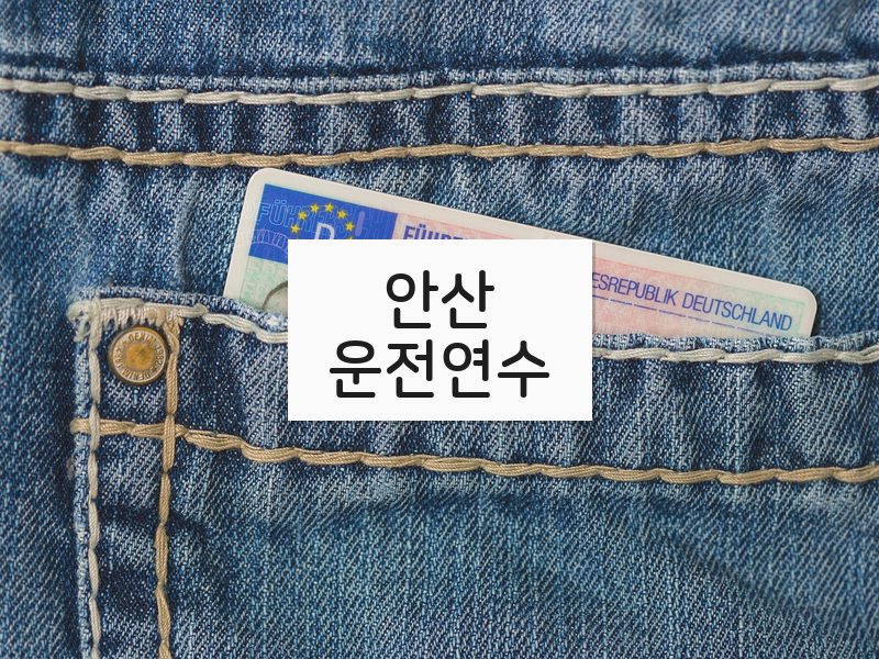 안산운전연수 후기