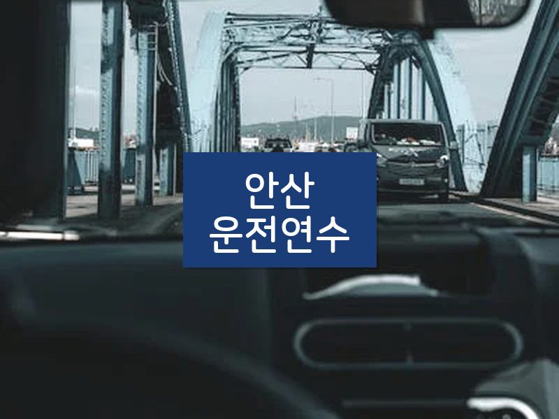 안산운전연수 후기