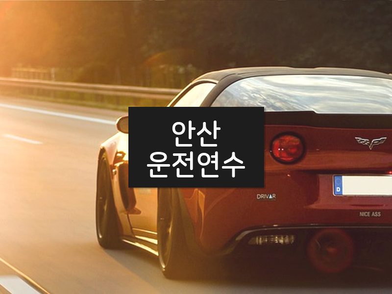 안산운전연수 후기