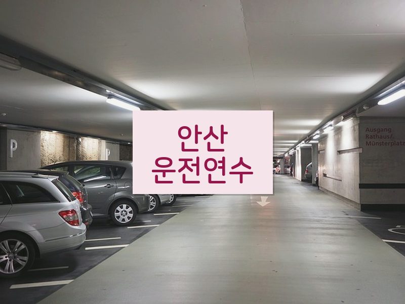 안산운전연수 후기