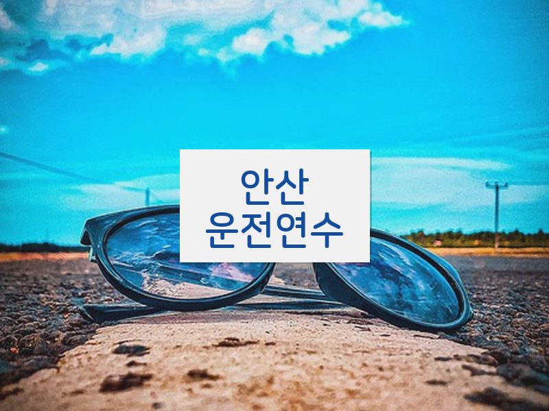 안산운전연수 후기