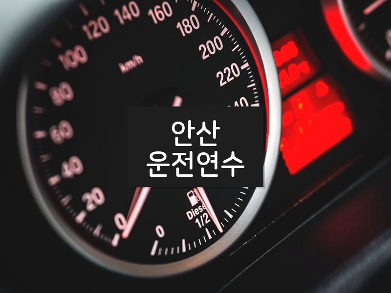 안산운전연수 후기