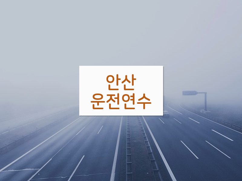 안산운전연수 후기