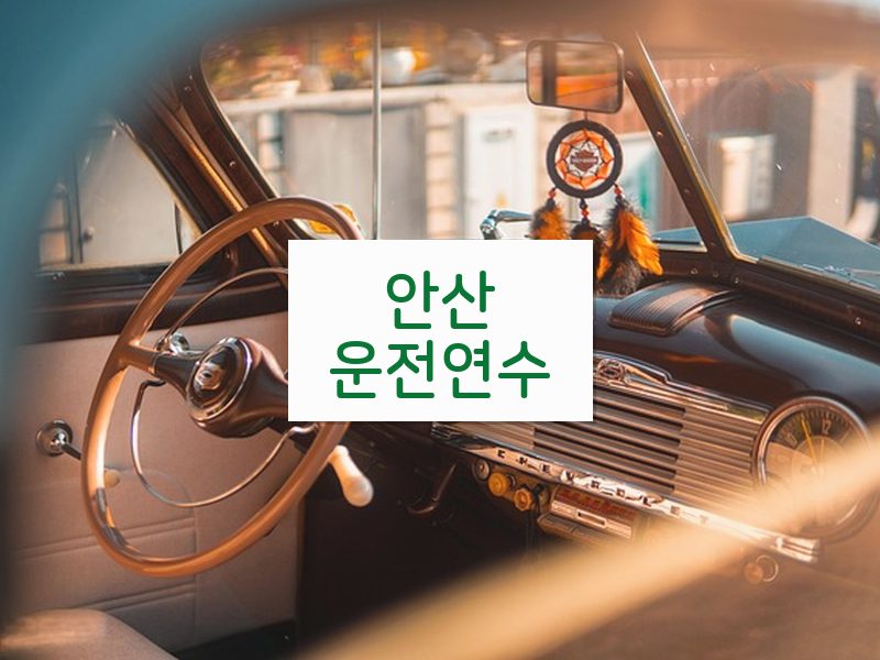 안산운전연수 후기