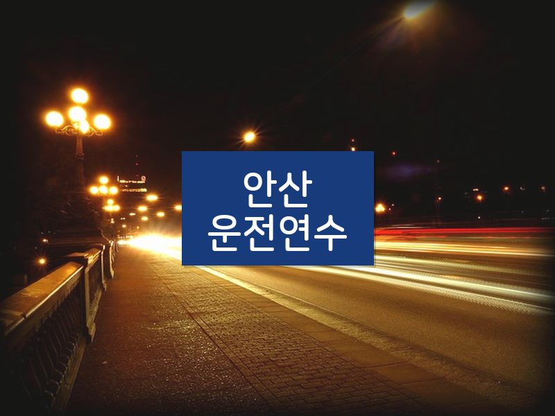 안산운전연수 후기