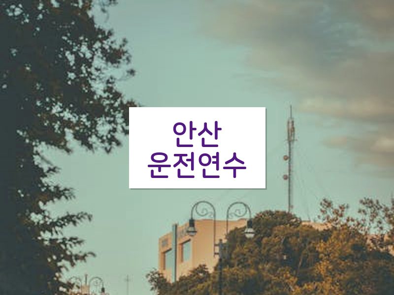 안산운전연수 후기