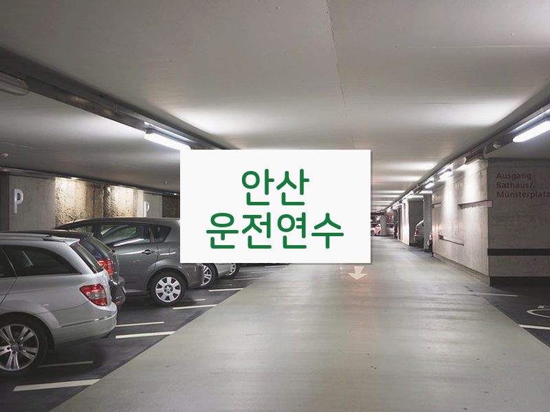 안산운전연수 후기