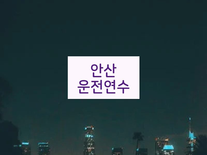 안산운전연수 후기