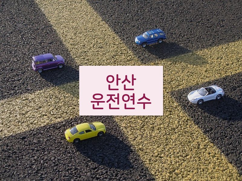 안산운전연수 후기