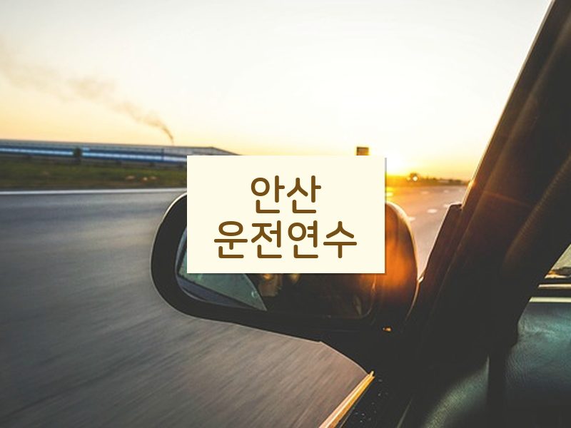 안산운전연수 후기