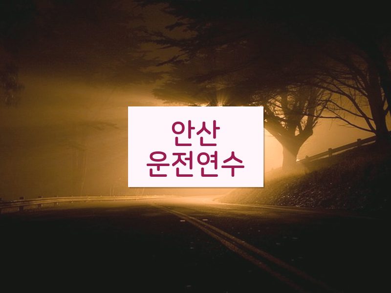 안산운전연수 후기