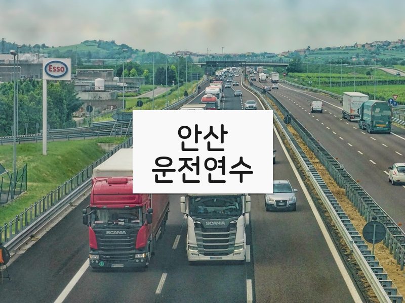 안산운전연수 후기