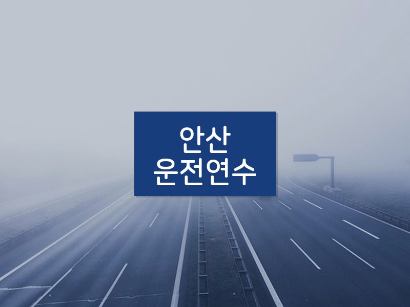 안산운전연수 후기