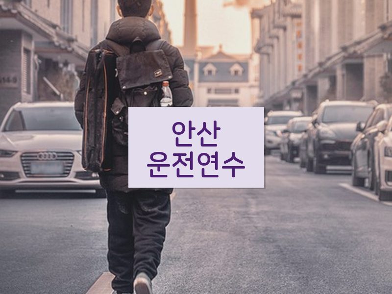 안산운전연수 후기