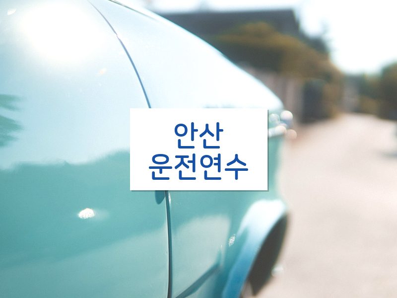 안산운전연수 후기