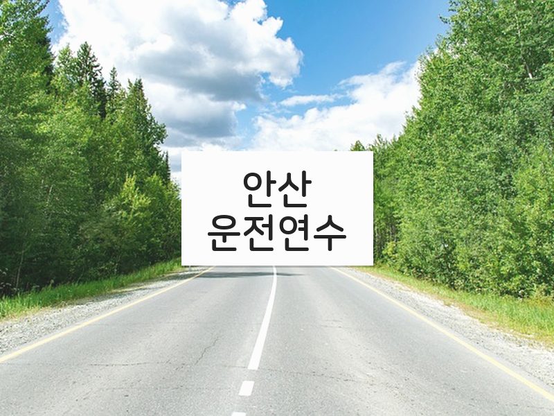 안산운전연수 후기