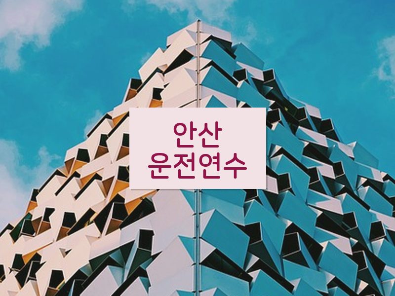 안산운전연수 후기