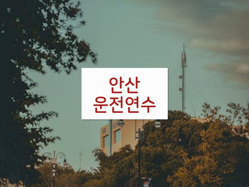 안산운전연수 후기