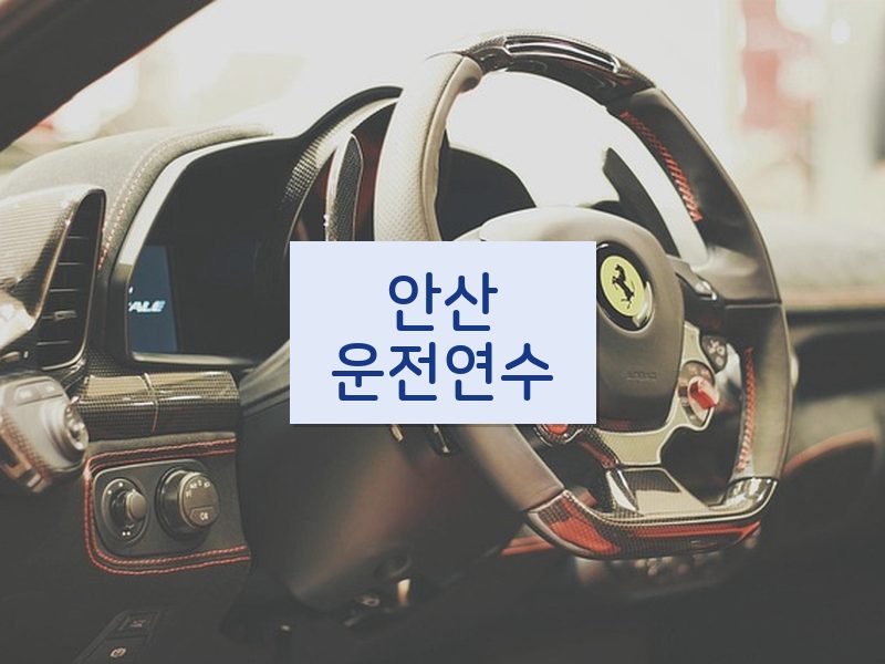 안산운전연수 후기