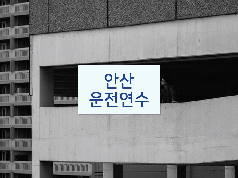 안산운전연수 후기