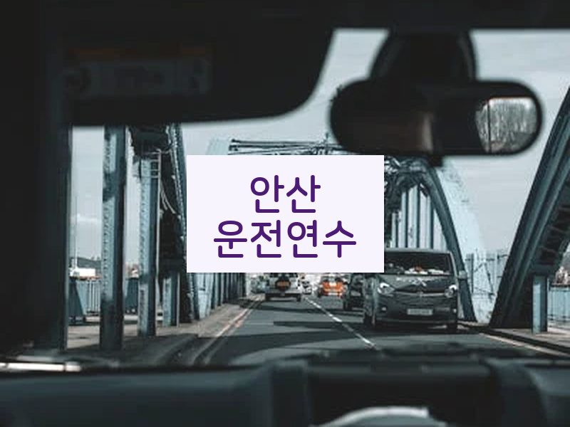 안산운전연수 후기