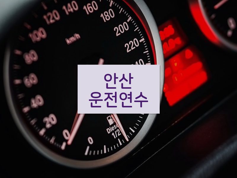 안산운전연수 후기