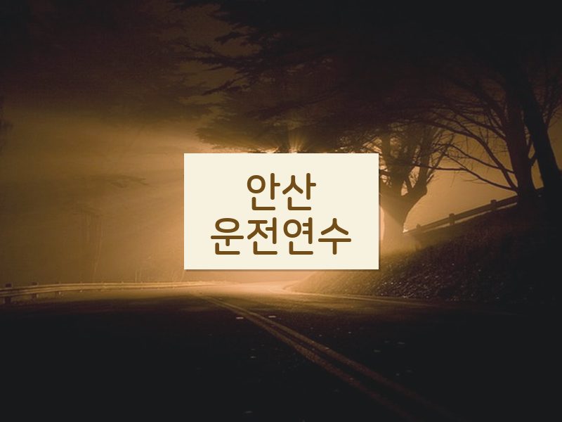 안산운전연수 후기