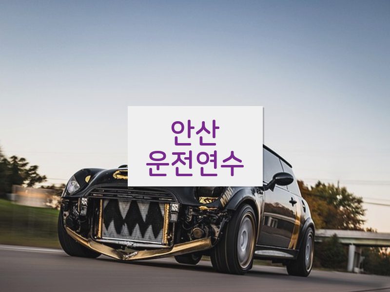 안산운전연수 후기