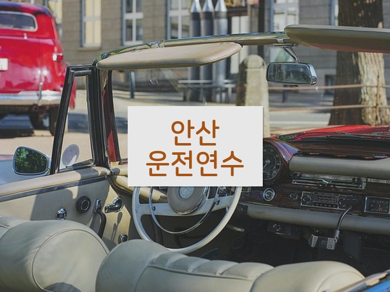 안산운전연수 후기