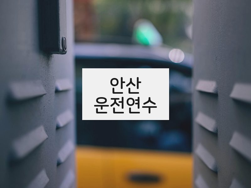 안산운전연수 후기