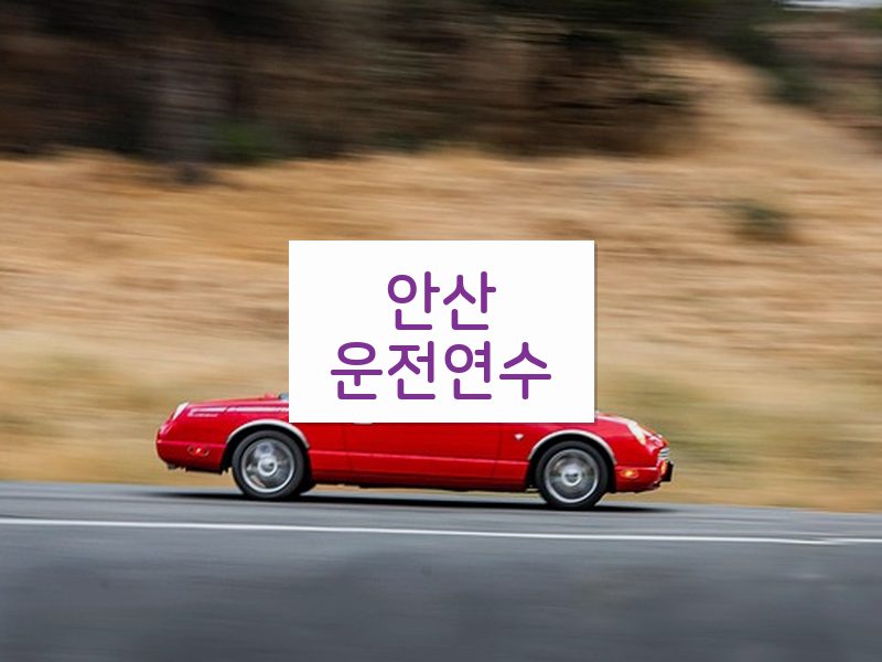 안산운전연수 후기