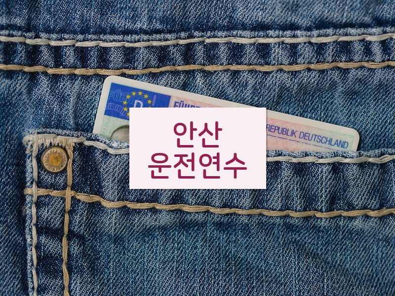 안산운전연수 후기
