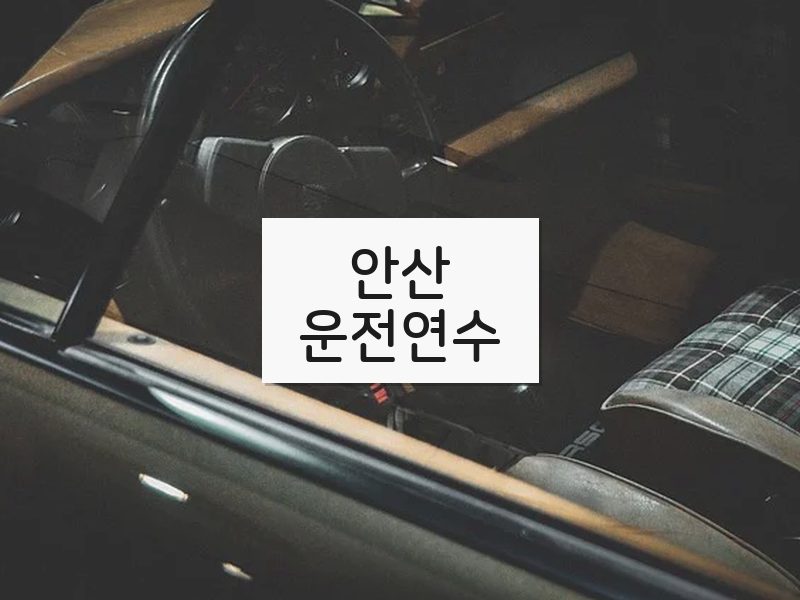 안산운전연수 후기