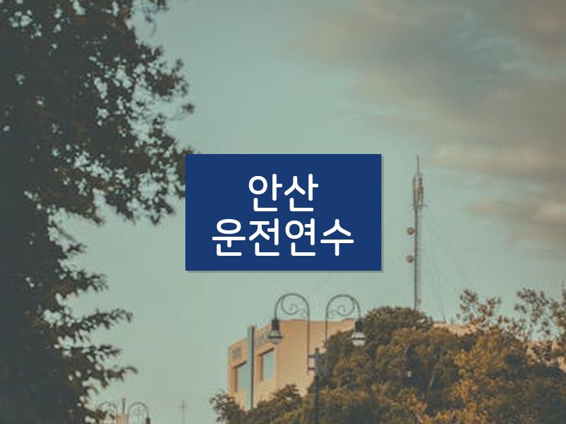 안산운전연수 후기