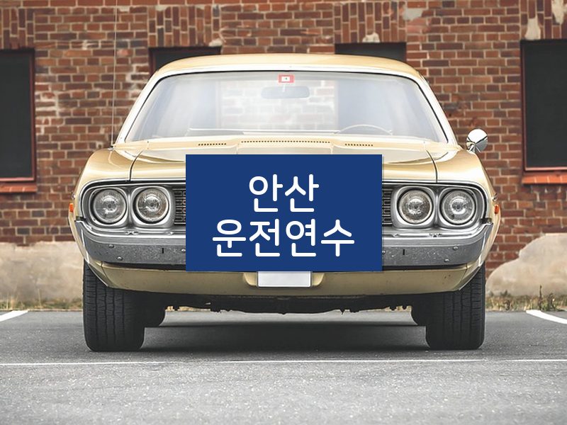안산운전연수 후기