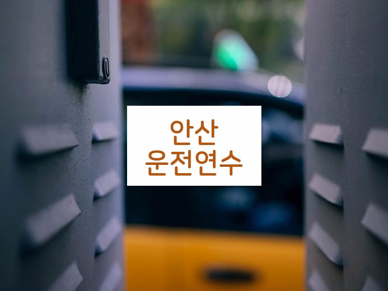 안산운전연수 후기