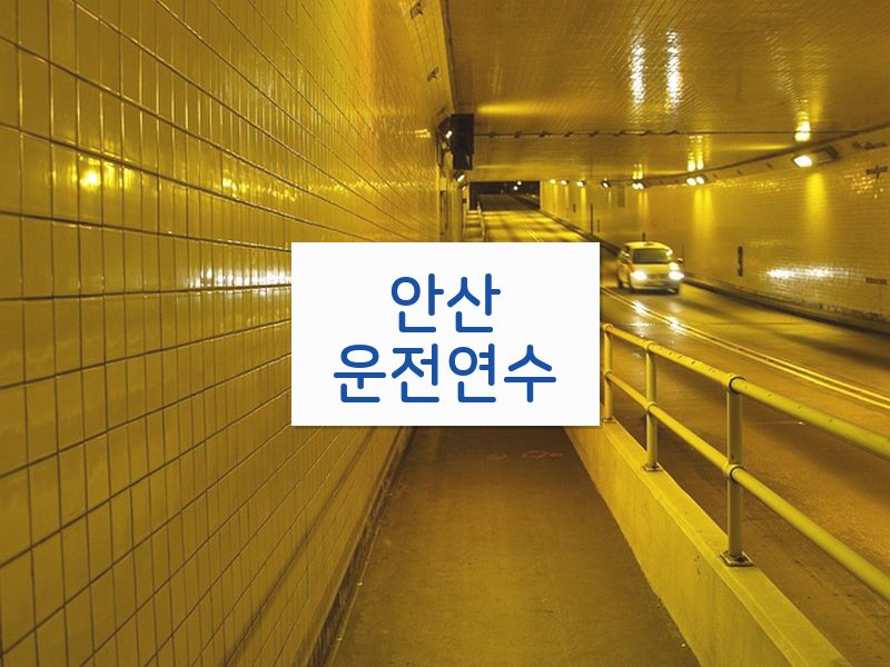 안산운전연수 후기