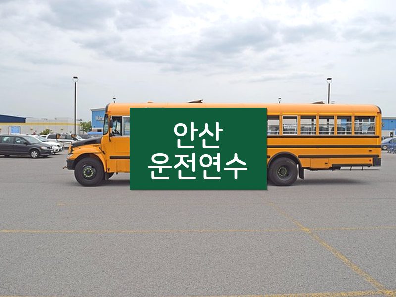 안산운전연수 후기