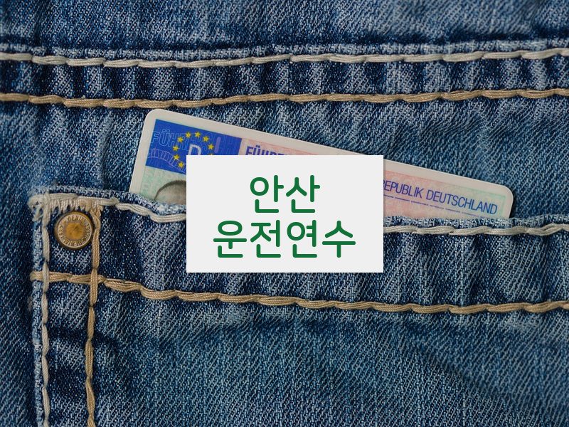안산운전연수 후기