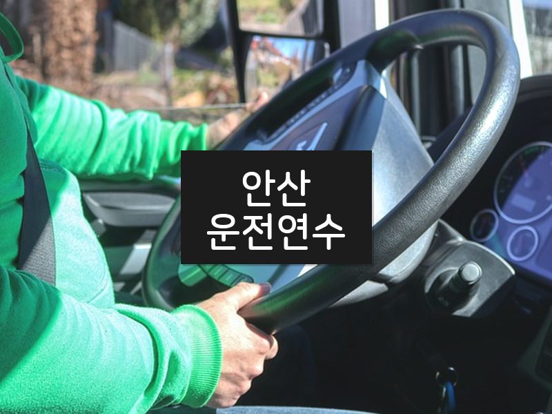 안산운전연수 후기