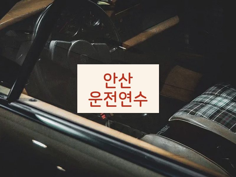 안산운전연수 후기