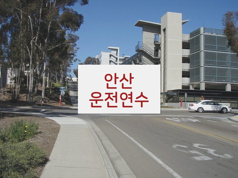안산운전연수 후기