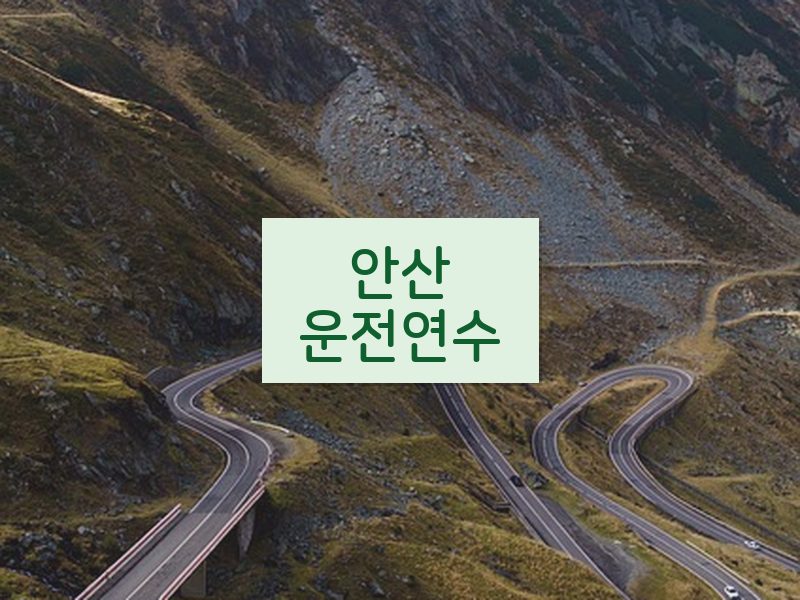 안산운전연수 후기