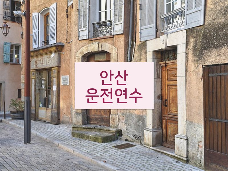 안산운전연수 후기