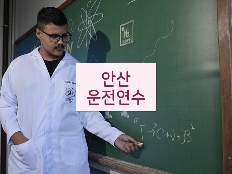 안산운전연수 후기