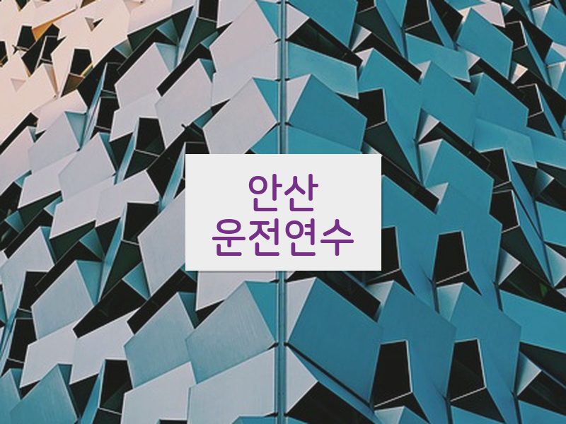 안산운전연수 후기