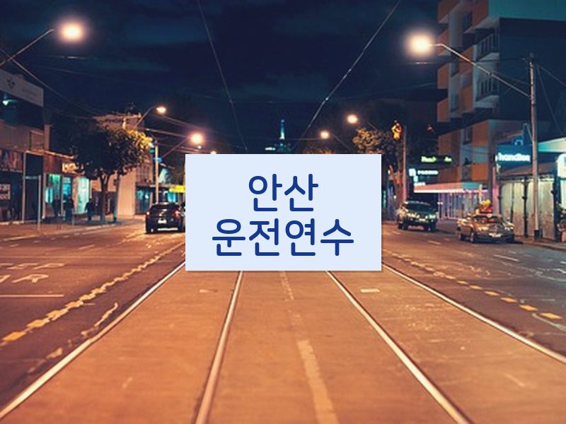 안산운전연수 후기