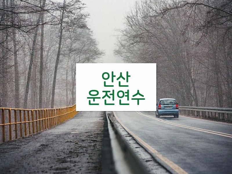안산운전연수 후기