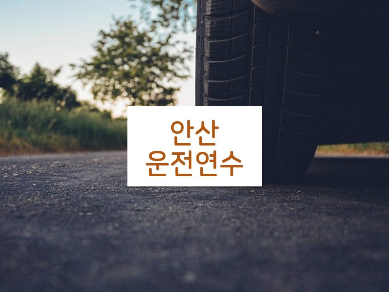 안산운전연수 후기